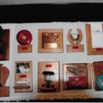 Award_Banquet_026 ()